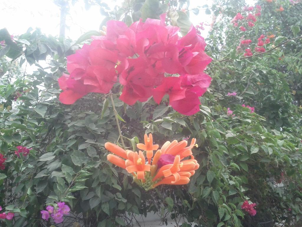 Jheelam Homestay Bhopal Esterno foto