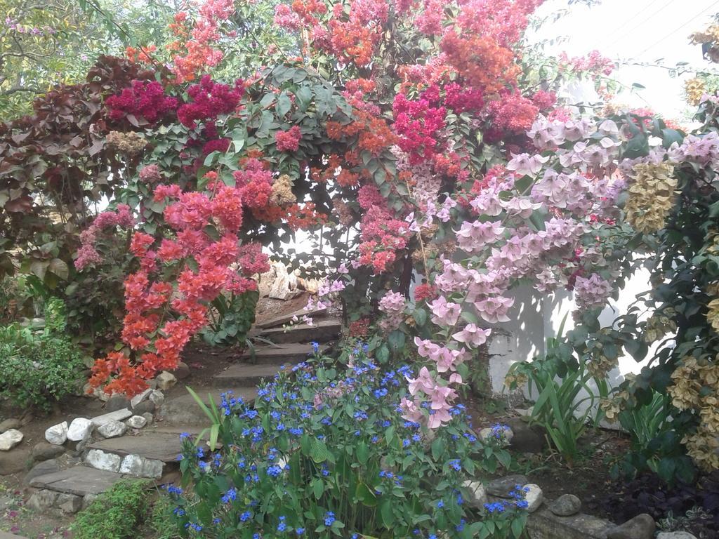 Jheelam Homestay Bhopal Esterno foto