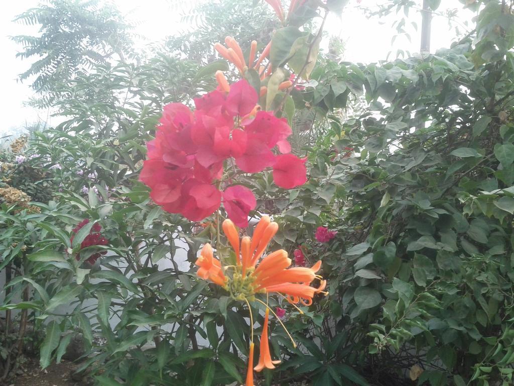 Jheelam Homestay Bhopal Esterno foto