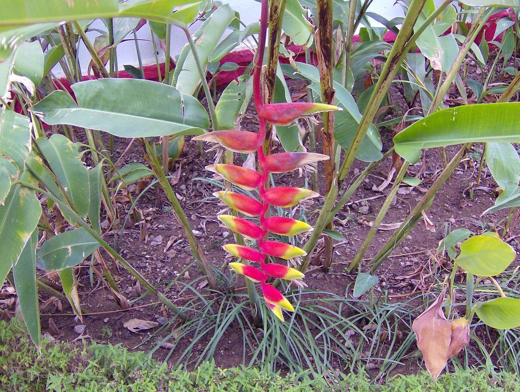 Jheelam Homestay Bhopal Esterno foto