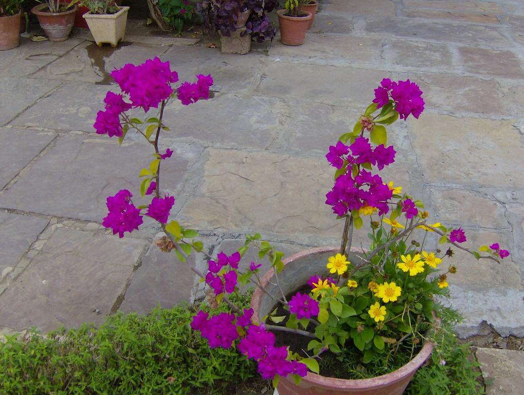 Jheelam Homestay Bhopal Esterno foto