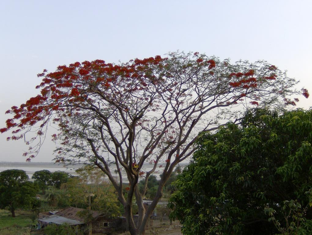 Jheelam Homestay Bhopal Esterno foto