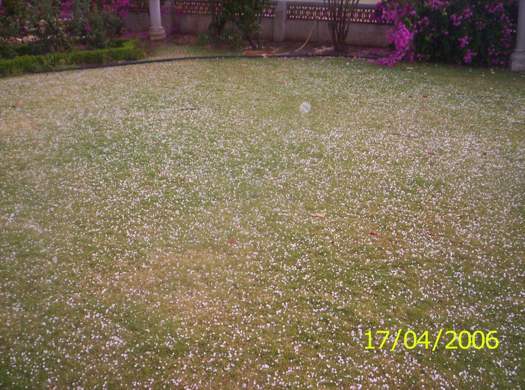 Jheelam Homestay Bhopal Esterno foto