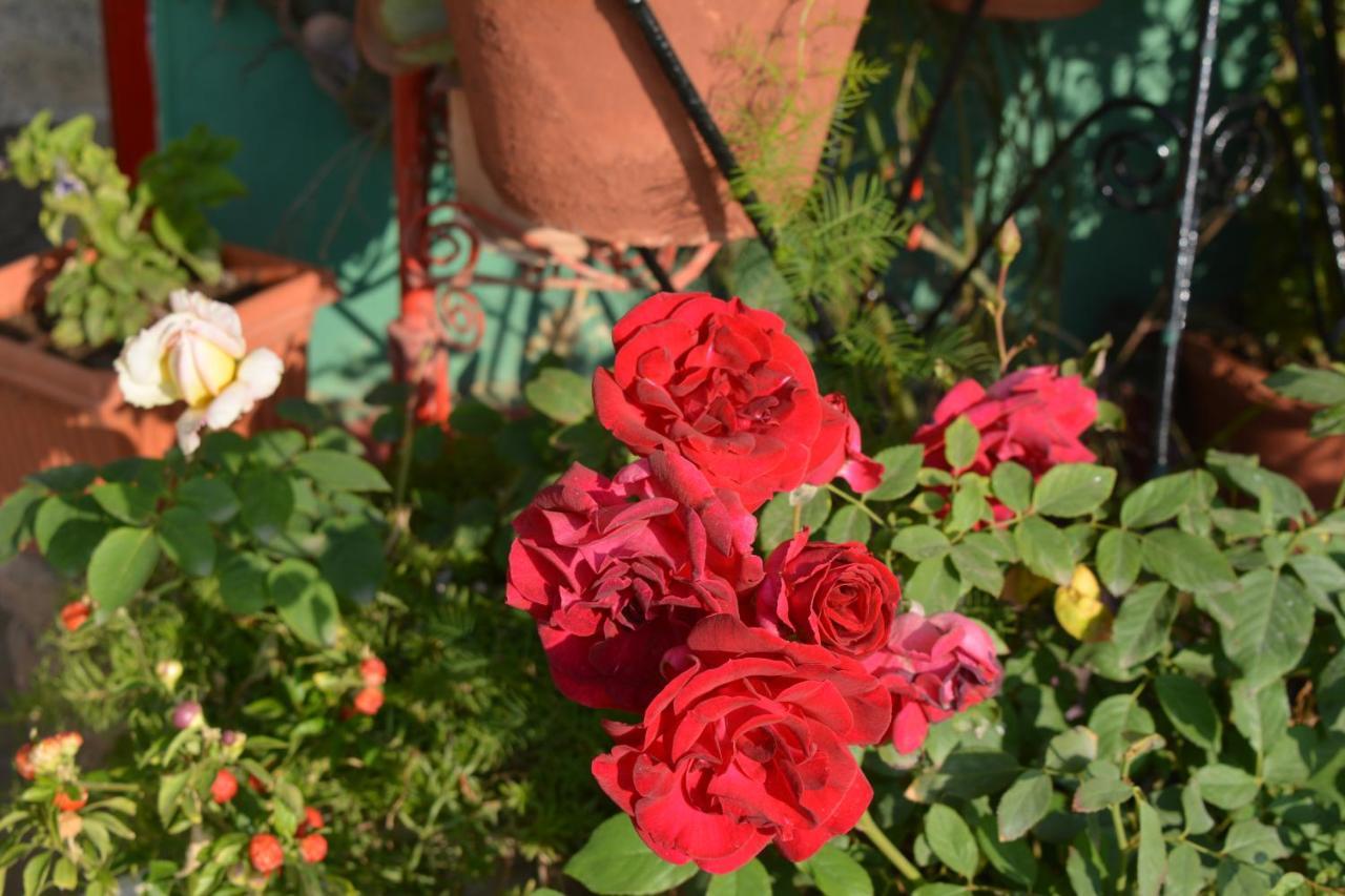 Jheelam Homestay Bhopal Esterno foto